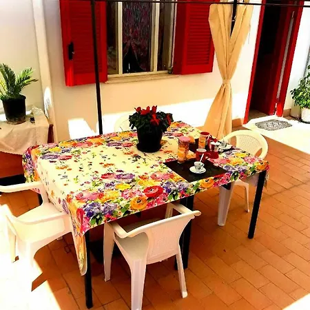 Garden House Airport Neapol
