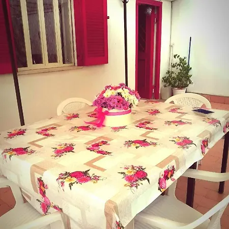 Garden House Airport * Neapol