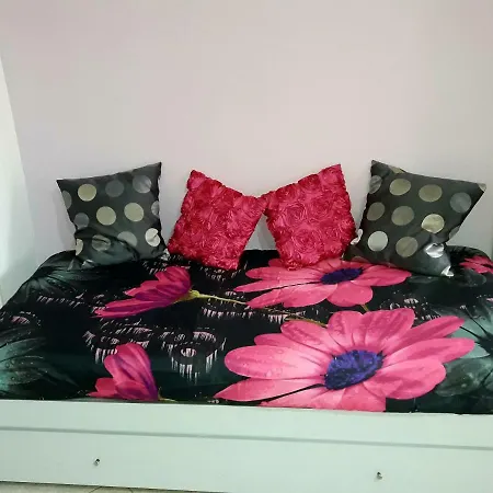Garden House Airport Apartment *
