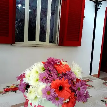 Garden House Airport Apartment Naples